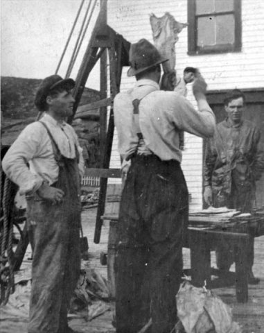 016: Culling cod, l-r Joseph Cheeseman, J V McCarthy (back to camera), and Thomas McCarthy. (circa 1920) [courtesy of Mollie McCarthy]- Thomas son of Denis McCarthy &amp;amp; Sarah Withers.